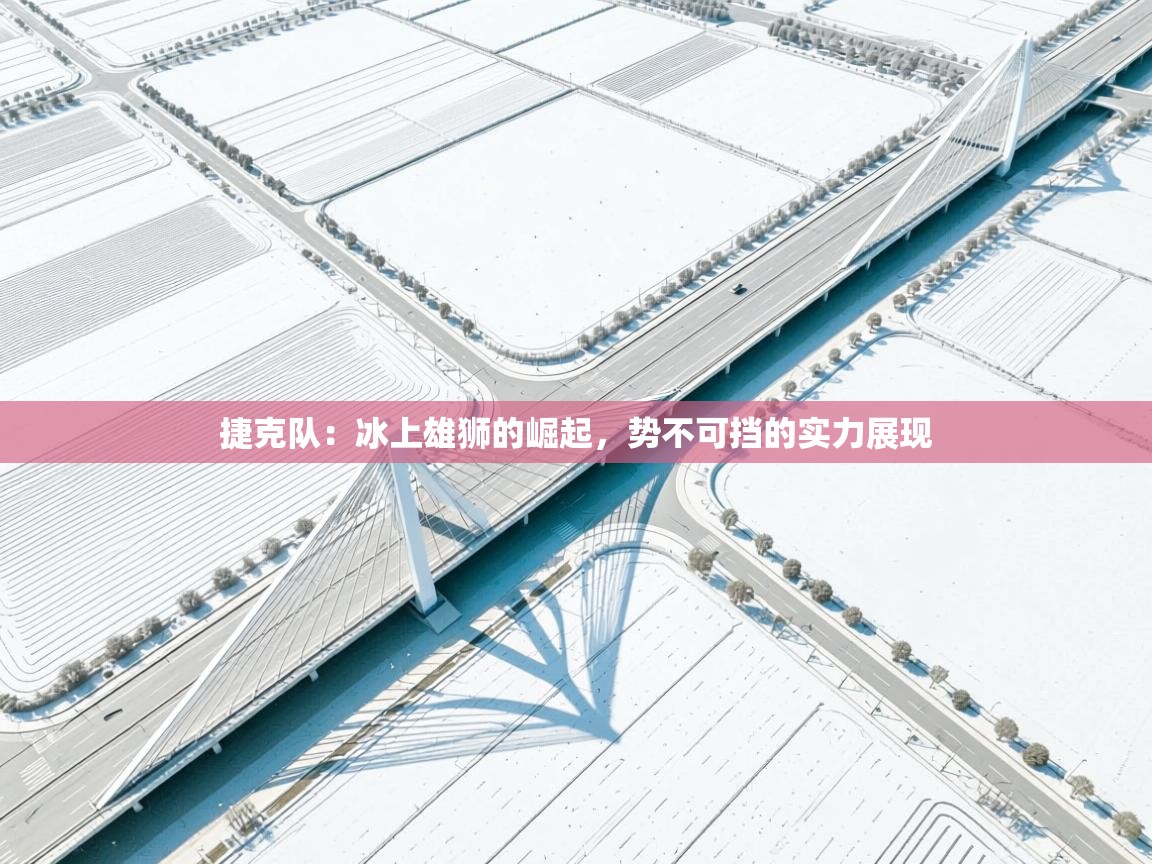 捷克队:冰上雄狮的崛起,势不可挡的实力展现 第1张