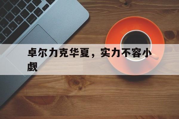 爱游戏网页版入口-包含卓尔力克华夏，实力不容小觑的词条