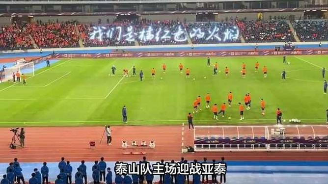 爱游戏培训-鲁能主场对阵泰达，全力保级追赶的简单介绍